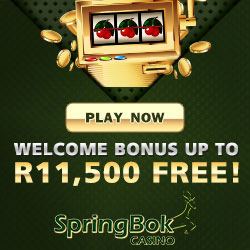 Springbok Casino - Claim Your Welcome Bonus Now